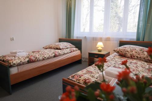 Dom Studencki Labirynt