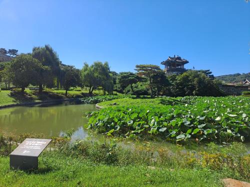a pond in a park with a sign in the grass at HaengGung MaSil in Suwon