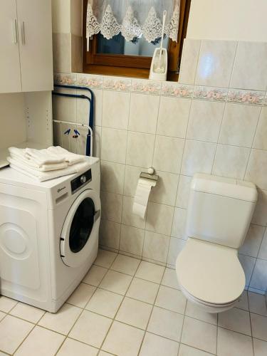 a bathroom with a washing machine and a toilet at Flensa-Ferienwohnung in Seewis im Prättigau