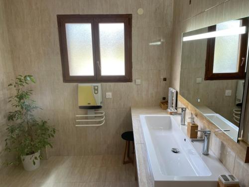a bathroom with a sink and a mirror at Coeur de nature in Rasiguères