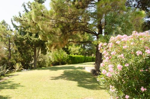 a garden with pink flowers and trees and a pathway at Angelbay Bungalows in Agia Triada