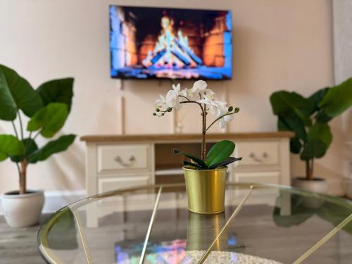 a living room with a glass table and a tv at Luxe city stay in Ipswich