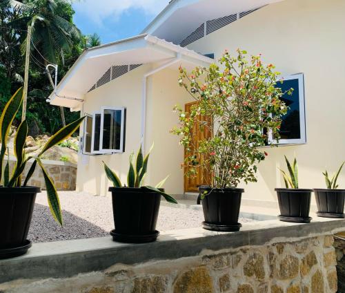 a row of potted plants on a wall in front of a house at Coco Vanille Chalets in Takamaka