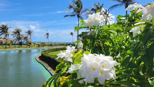 ein Blick auf einen Fluss mit weißen Blumen in der Unterkunft Flat Aquaville perto do Beachpark com 3 Suites in Aquiraz