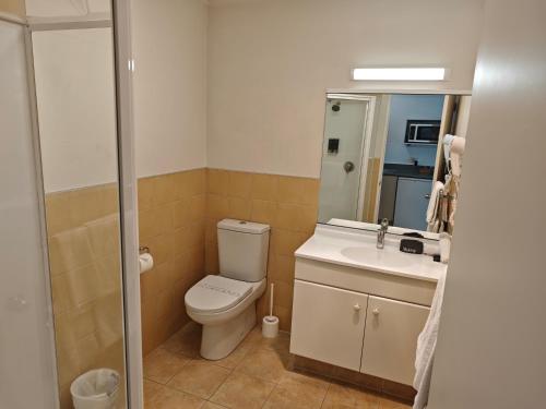 a bathroom with a toilet and a sink at Great Lake Motel Taupo in Taupo