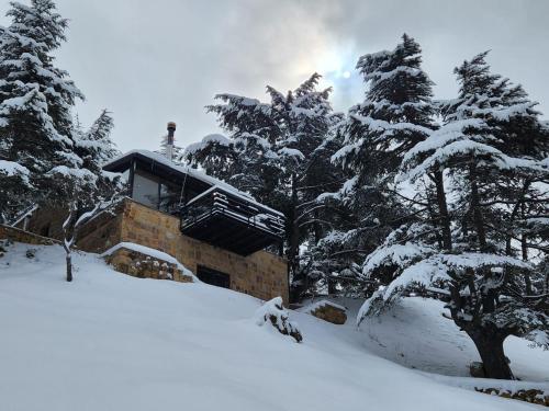 a building covered in snow in front of trees at Cedar Scent Guesthouse in Batroûn