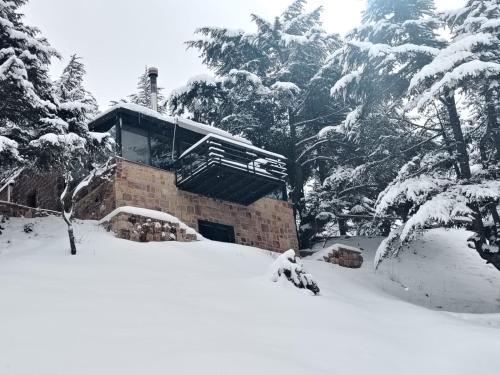 a building covered in snow in front of trees at Cedar Scent Guesthouse in Batroûn
