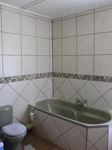 a bathroom with a green sink and a toilet at Guesthouse in the Waterberg in Ouklip