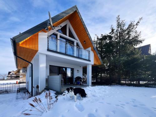 a dog standing in the snow in front of a house at Domki 1010 m in Ząb