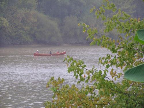 Le Bord de l'eau – Photos 5