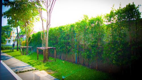 Aziss Boutique Hotel - SHA Plusにある庭