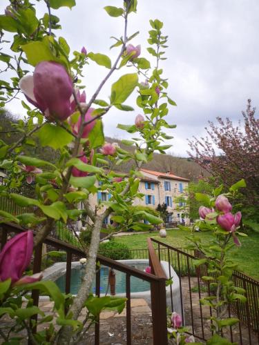 a tree with pink flowers next to a fence at Nabat le Haut, chambre et table d'hotes in Courniou