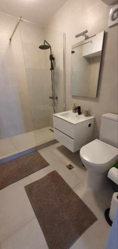 a bathroom with a toilet and a shower and a sink at Bella Vista Primavera 1124 in Bucharest