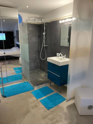 W łazience znajduje się umywalka oraz prysznic z niebieskimi dywanami. w obiekcie Villa (Loft) à Villetelle, 20 mn des plages w mieście Villetelle