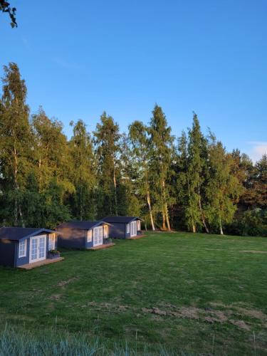 a group of cottages in a field with trees at Piejūras Lavandas in Jūrmalciems