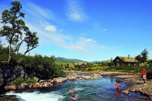 a group of people swimming in a river at Cozy Cabin Hovden Fjellpark 71 in Hovden