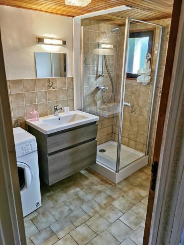 La salle de bains est pourvue d'un lavabo et d'un lave-linge. dans l'établissement Refuge des cimes, à Xonrupt-Longemer