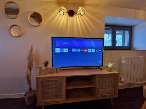 Suite Lodge coconにあるテレビまたはエンターテインメントセンター