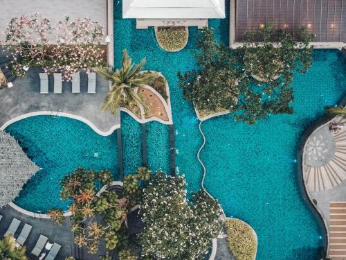 an overhead view of a swimming pool with plants at Andaman Cannacia Resort & Spa - SHA Extra Plus in Kata Beach