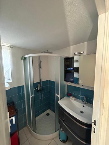 La petite salle de bains est pourvue d'une douche et d'un lavabo. dans l'établissement Bonheur, à Saint Cyprien Plage