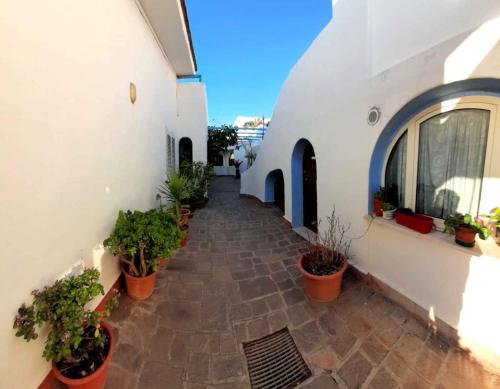 a courtyard of a white building with potted plants at Casa Vacanze Elianto in Anzio