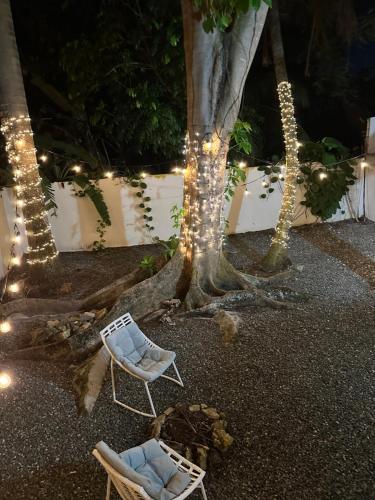 Gallery image of Villa Bamboo in San Juan