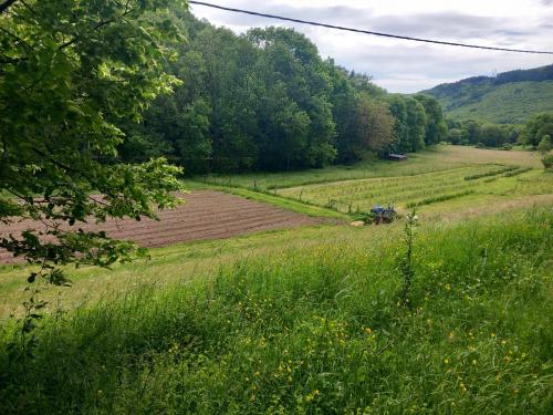 a field with a farm implement in the middle of it at Nabat le Haut, chambre et table d'hotes in Courniou