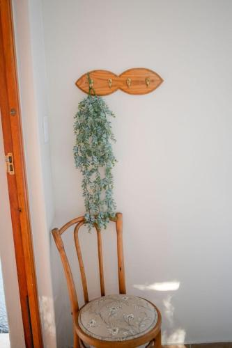 a chair with a plant hanging on a wall at At Skemer in Malmesbury