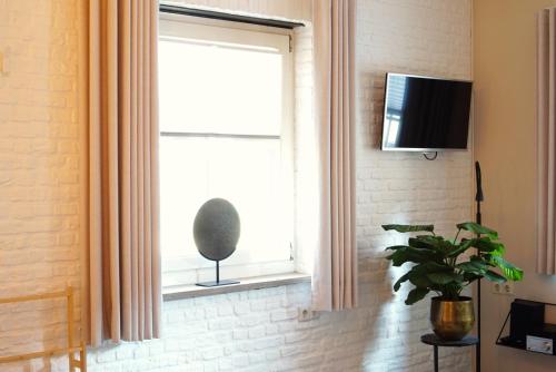 a window with a television and a plant in a room at Het Knechthuys in Baarlo