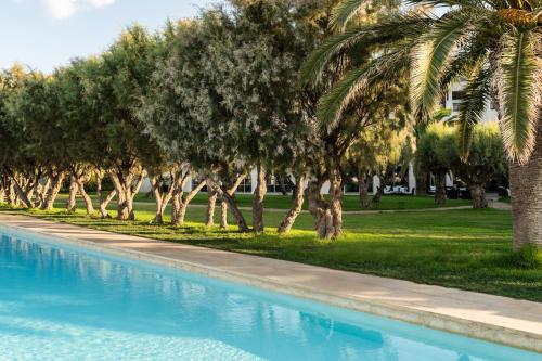 בריכת השחייה שנמצאת ב-Plaza Resort או באזור