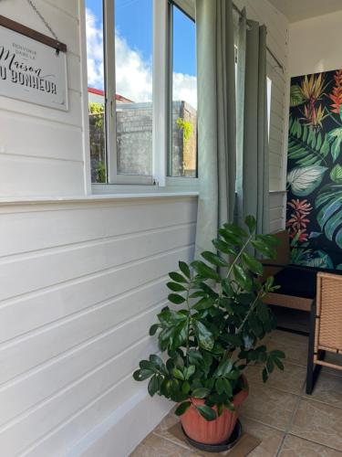 a plant in a pot next to a window at Escale Terre Rouge in Saint-André