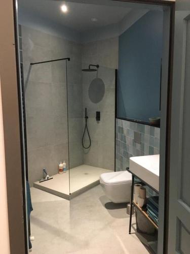 une salle de bain avec une douche, des toilettes et un lavabo dans l'établissement Experience Montpellier, beaches and hinterland, à Montpellier