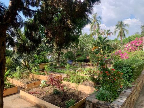 a garden with flowers and plants in boxes at Saigon Domaine Luxury Residences in Ho Chi Minh City