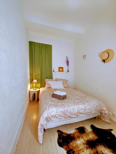 - une chambre avec un lit et un rideau vert dans l'établissement Baiona T2 Sainte Catherine Cœur de Saint Esprit, à Bayonne