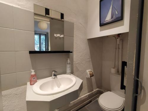 une salle de bain avec un lavabo, des toilettes et un miroir dans l'établissement Baiona T2 Sainte Catherine Cœur de Saint Esprit, à Bayonne