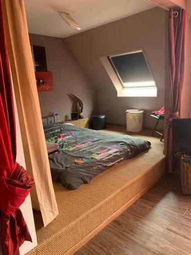 une chambre avec un lit dans une pièce avec une fenêtre dans l'établissement Appartement en attique 2 balcons 50m2 au calme, à Hoenheim