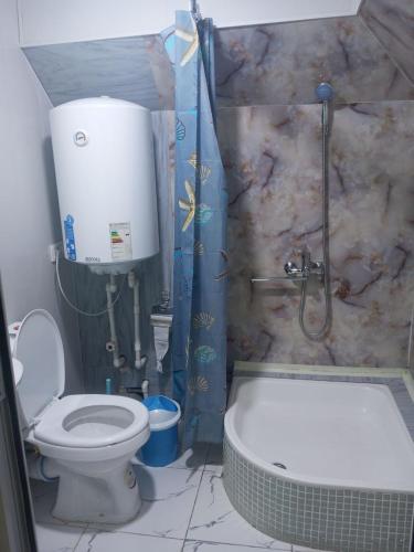 a bathroom with a shower and a toilet and a tub at Sohibqiron boutique in Bukhara