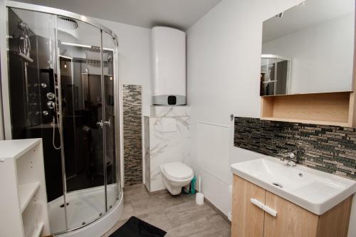 une salle de bain avec une douche, des toilettes et un lavabo dans l'établissement La Petite Pontissalienne - Appartement Centre de Pontarlier, à Pontarlier