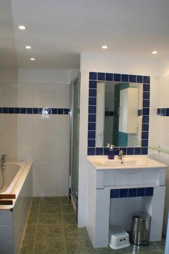 une salle de bain avec une baignoire, un lavabo et un miroir dans l'établissement Red sun and green tea, à Saint-Jean-de-Barrou