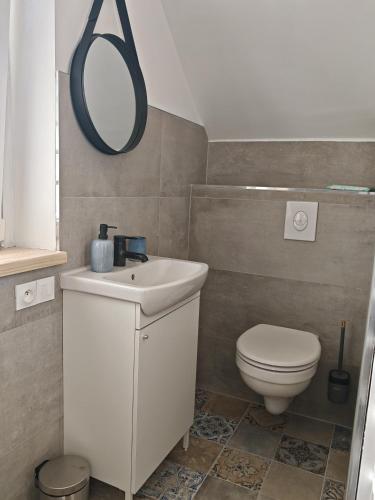 une salle de bain avec un lavabo, des toilettes et un miroir dans l'établissement Chambre 4 dans appartement partagé proche de Strasbourg, à Wasselonne