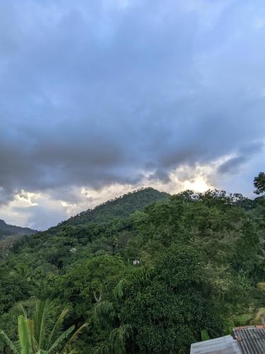 Φυσικό τοπίο κοντά σε αυτός ο ξενώνας