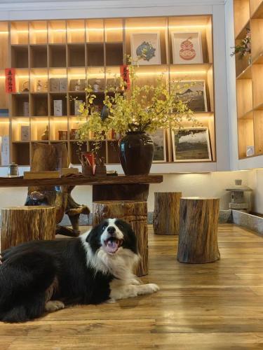 a dog laying on the floor in a room at Li-river Island Resort Xingping Yangshuo in Yangshuo