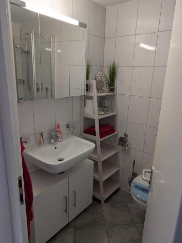 a bathroom with a sink and a mirror and a toilet at Appartement Allgäu-Sonne mit Sauna und Pool in Scheidegg