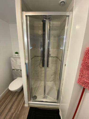 La salle de bains est pourvue d'une douche en verre et de toilettes. dans l'établissement Studio meublé CIRCUIT 24h, au Mans