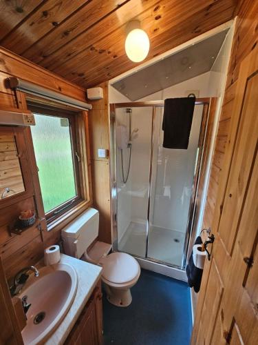 a bathroom with a shower and a toilet and a sink at Ant River Lodge Houseboat in Stalham