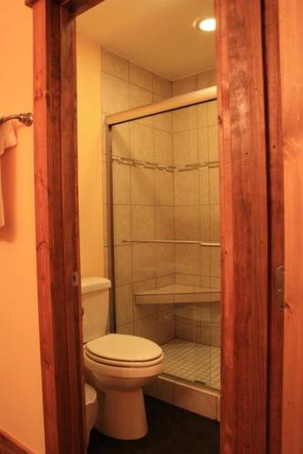 a bathroom with a toilet and a shower at Cliff Davidson in Sampson