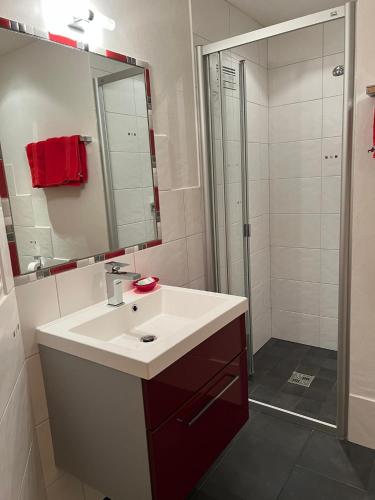 a bathroom with a sink and a shower with a mirror at Au Vieux Champex in Champex