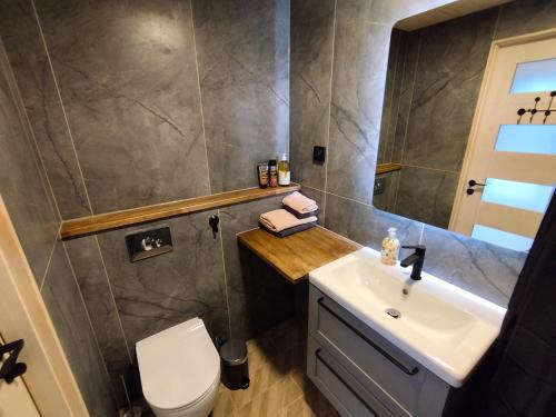a bathroom with a sink and a toilet at Metsamarja in Rässa
