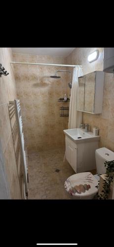 a bathroom with a toilet and a sink at TOP SKY VIEW - Studio Panorama in Veliko Tŭrnovo