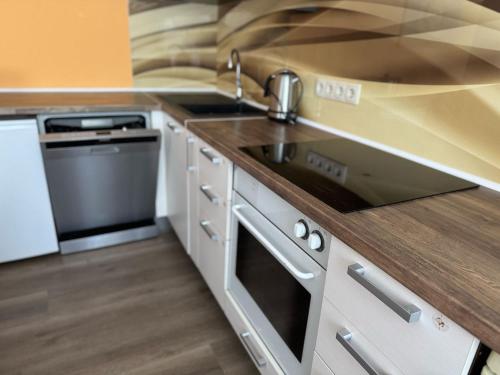 a kitchen with a sink and a stove at 18 oaks Private Countryside-palace apartment INDIA in Bauska